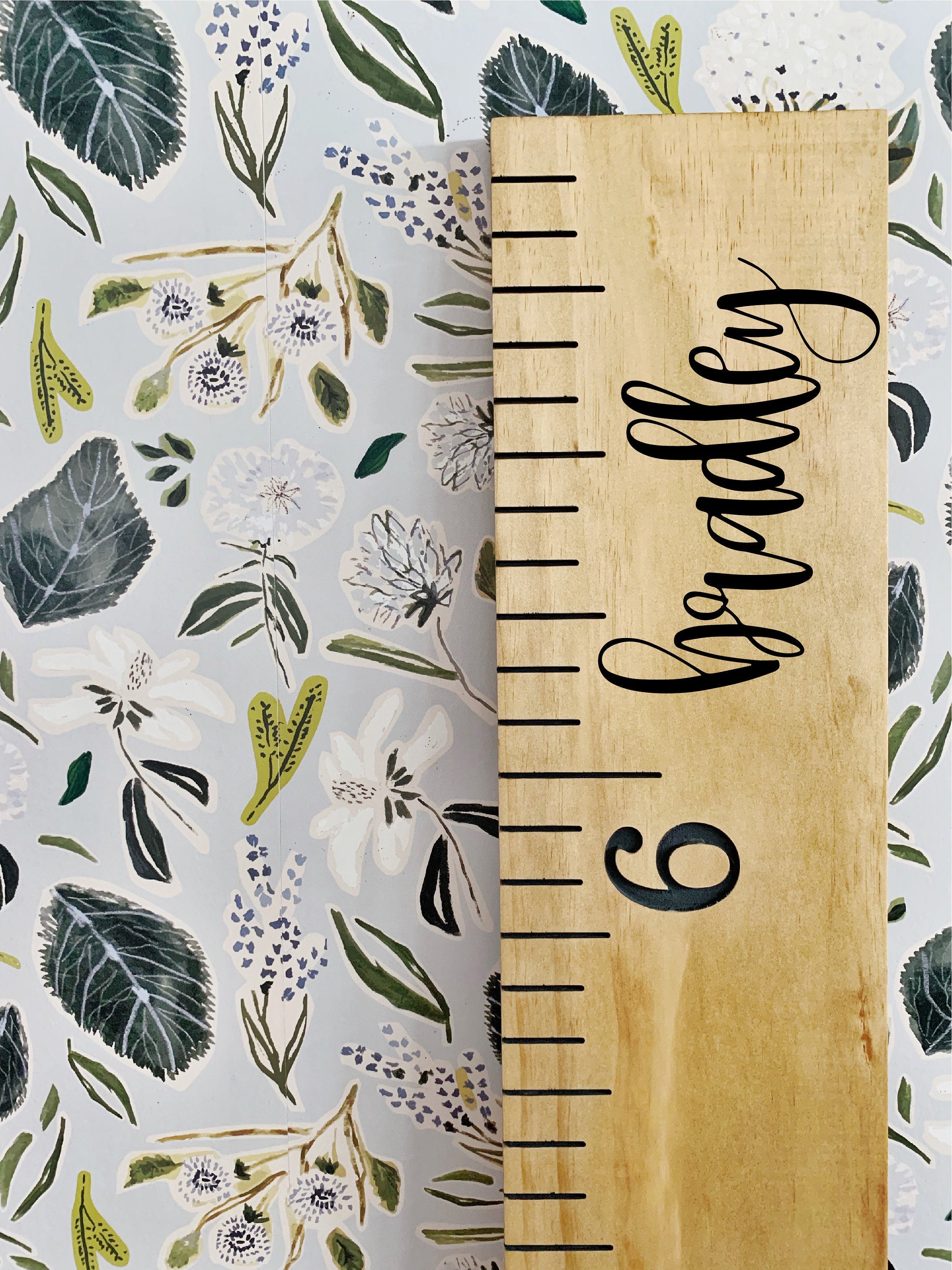 Bradley Edition : Engraved Growth Chart - Half Pint Ink