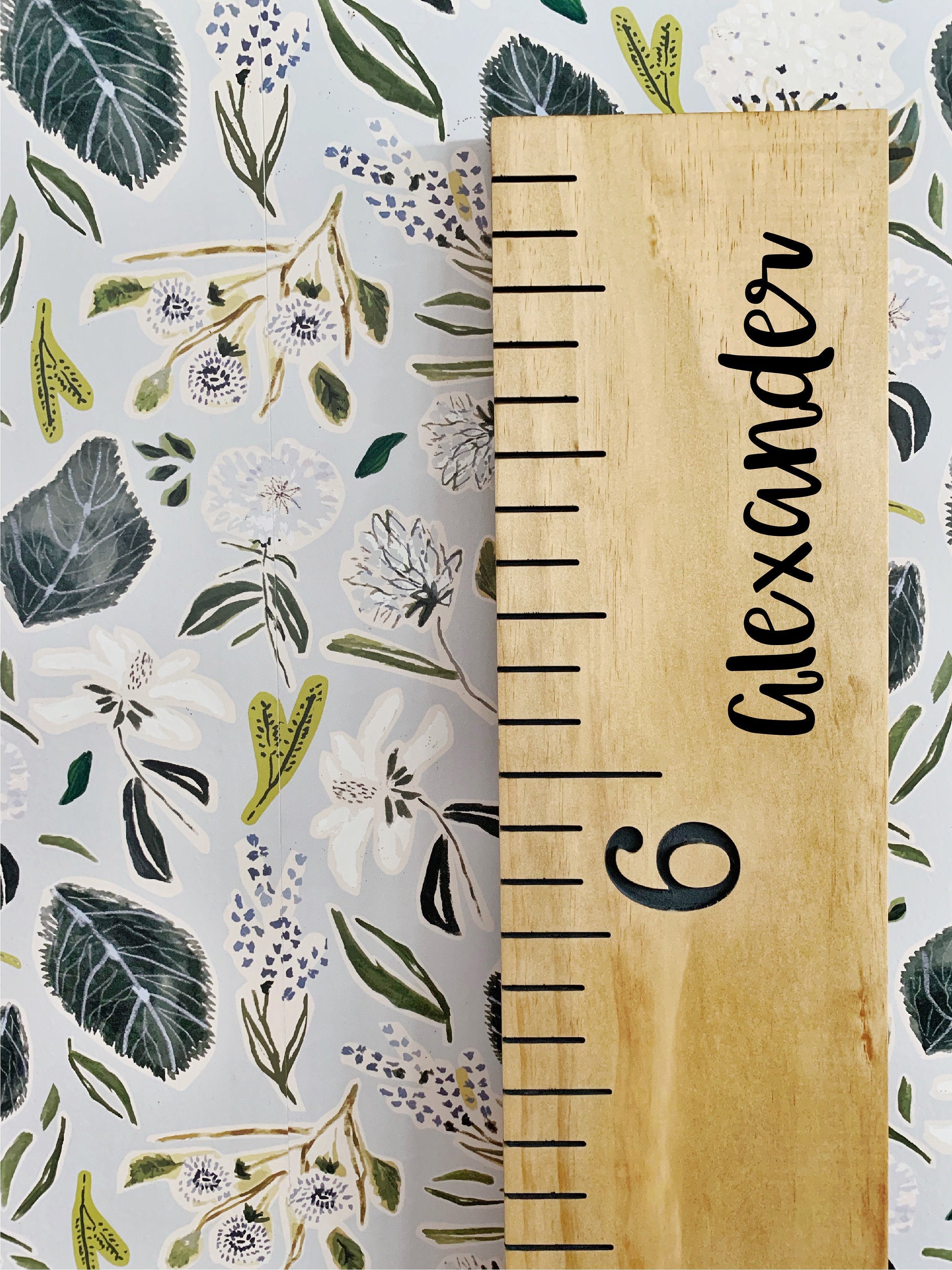 Alexander Edition : Engraved Growth Chart - Half Pint Ink