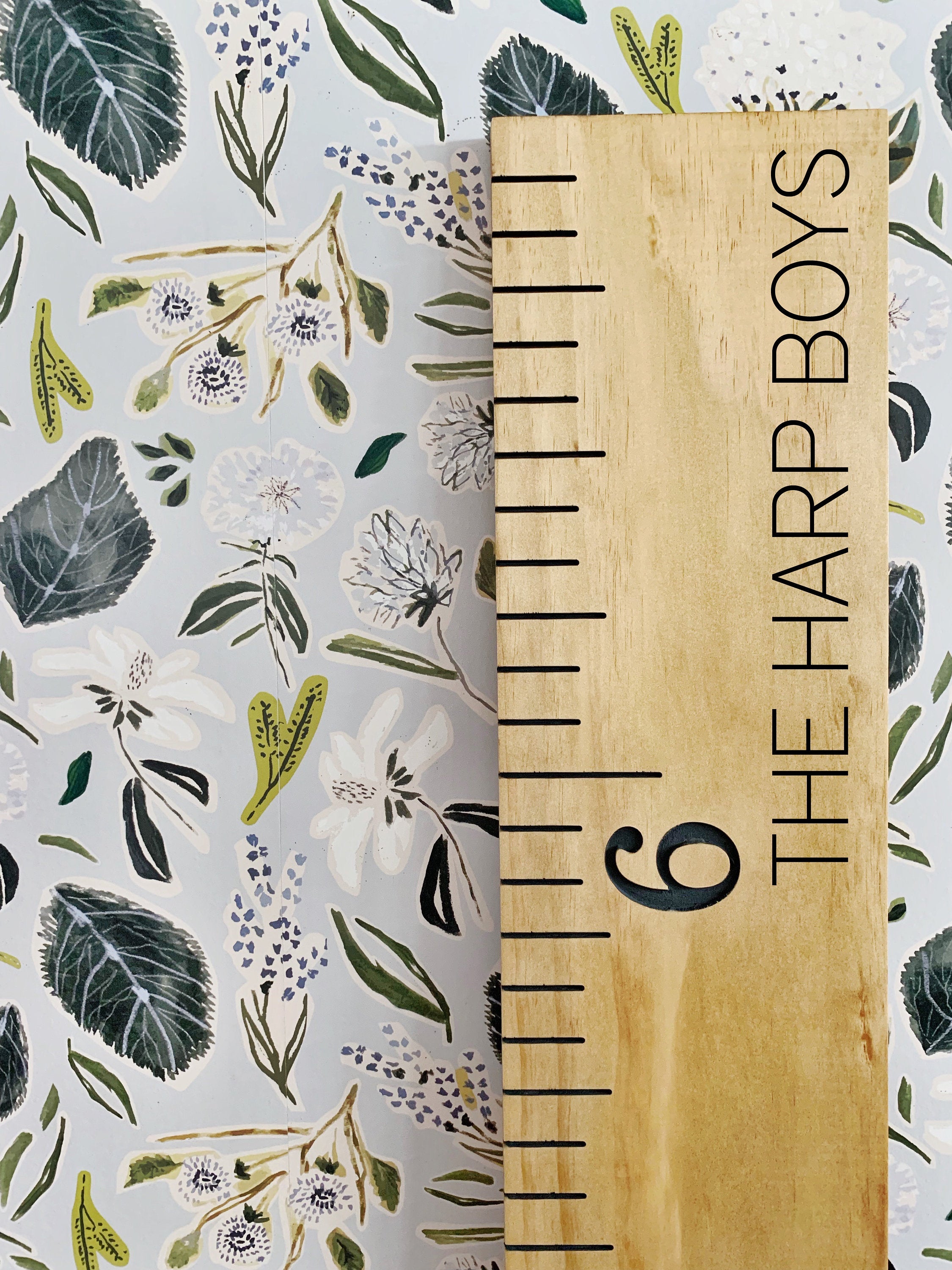 Boys Edition : Engraved Growth Chart - Half Pint Ink