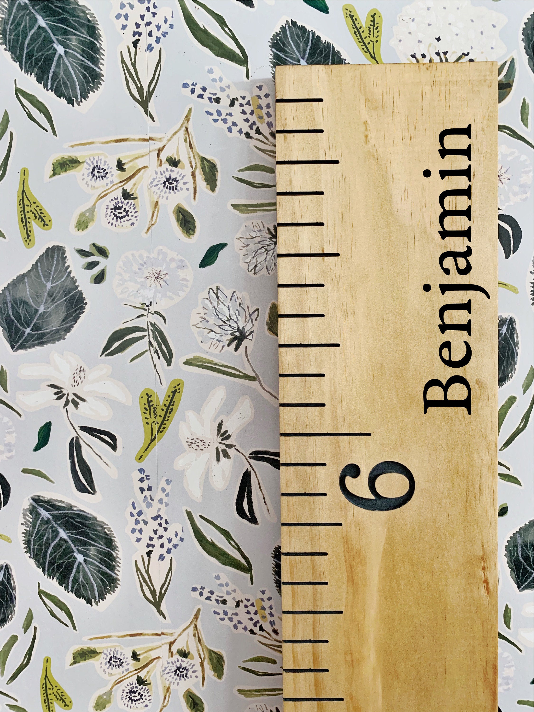 Benjamin Edition : Engraved Growth Chart - Half Pint Ink