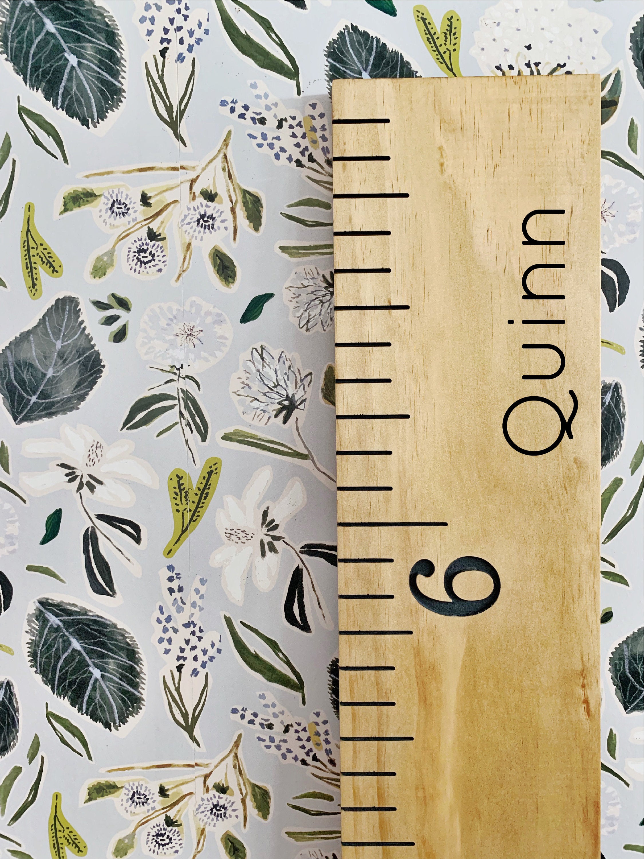 Quinn Edition : Engraved Growth Chart - Half Pint Ink