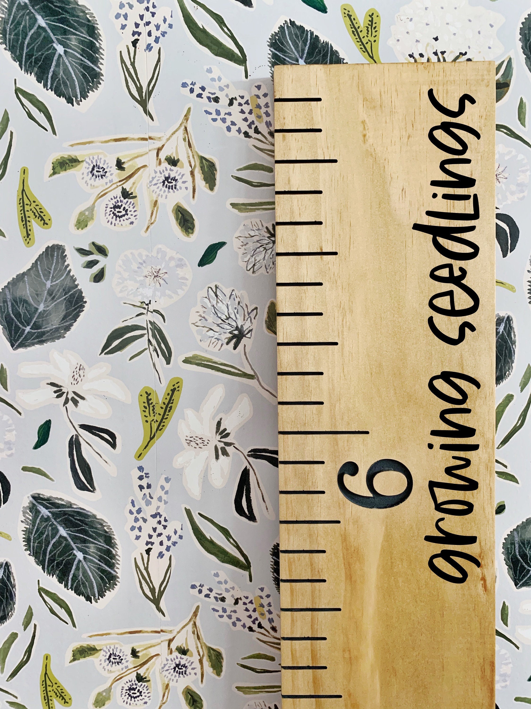 Growing Seedlings Edition : Engraved Growth Chart - Half Pint Ink