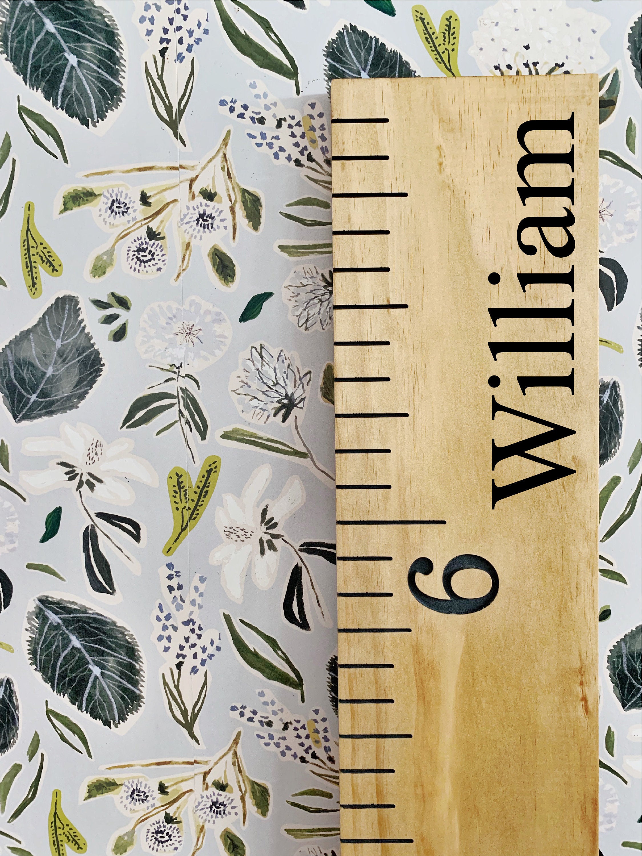 William Edition : Engraved Growth Chart